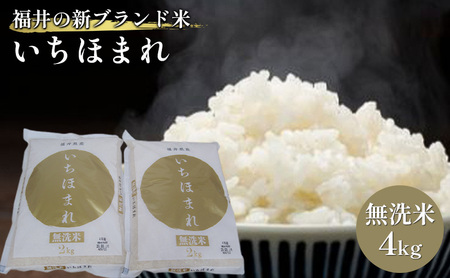 無洗米　いちほまれ4kg（令和５年産）福井の新ブランド米　2kgを2袋