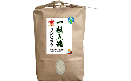 令和5年産 栽培期間中減農薬 コシヒカリ 20kg 玄米