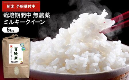 令和6年産 栽培期間中無農薬ミルキークイーン 5kg 白米