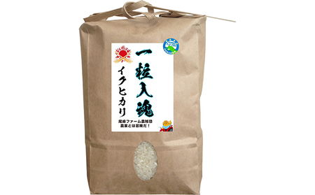 令和6年産 栽培期間中減農薬 イクヒカリ 5kg 玄米