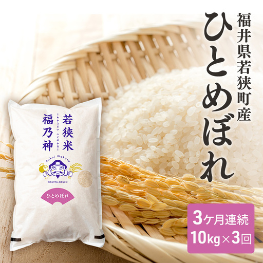 3ケ月連続 福井県若狭町 ひとめぼれ （一等米） 10kg（5kg×2）（神谷農園） お米 ブランド米 銘柄米 ご飯 おにぎり お弁当 産地直送 和食 主食