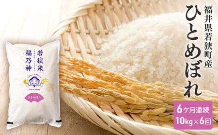 6ケ月連続 福井県若狭町 ひとめぼれ （一等米） 10kg（5kg×2）（神谷農園） お米 ブランド米 銘柄米 ご飯 おにぎり お弁当 産地直送 和食 主食 25,200円