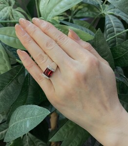 【ふるなび限定】【一点もの】K18WG　ガーネット（3.80ct）リング　FR5　K05068-H　FN-Limited-SP