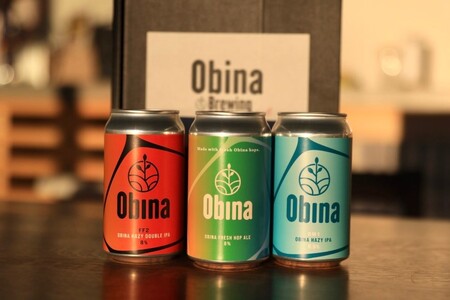 アメリカ人が造るこだわりのクラフトビール 醸造家が選ぶ6本セット 山梨県甲府 オビナブルーイング