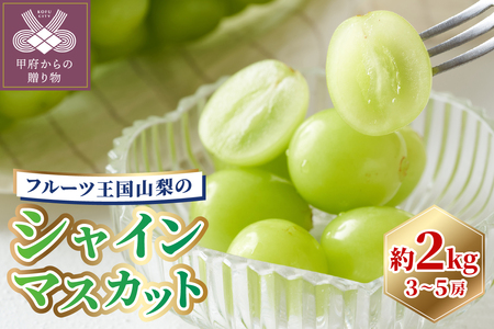 〈2026年度配送分〉シャインマスカット 3~5房(1箱2kg以上)262K