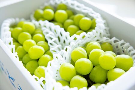 〈2026年度配送分〉シャインマスカット 3~5房(1箱2kg以上)262K