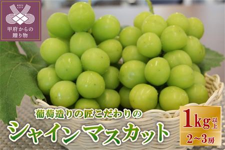 【☆先行予約☆2024年/令和6年発送分】シャインマスカット（こだわり）1kg以上　2～3房