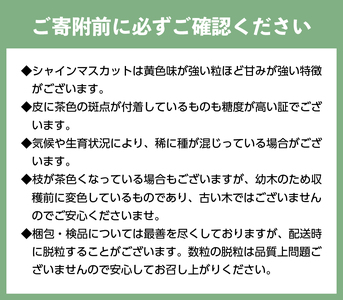 【☆先行予約☆2024年/令和6年発送分】シャインマスカット（こだわり）1kg以上　2～3房