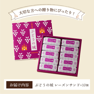 〈2025年1月発送〉【シャトレーゼ】 山梨県 限定 レーズンサンド 10個 贅沢 2種 レーズン 使用