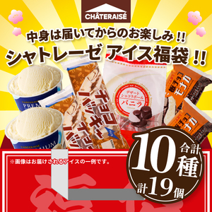 【ふるさと納税限定】大人気 チョコバッキーが必ず入る!! シャトレーゼ アイス福袋 10種 19個