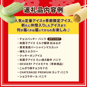 【ふるさと納税限定】大人気 チョコバッキーが必ず入る!! シャトレーゼ アイス福袋 10種 19個