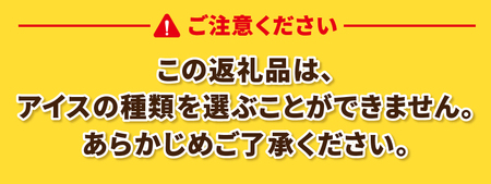 【ふるさと納税限定】大人気 チョコバッキーが必ず入る!! シャトレーゼ アイス福袋 10種 19個