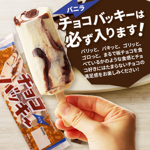 【ふるさと納税限定】大人気 チョコバッキーが必ず入る!! シャトレーゼ アイス福袋 10種 19個