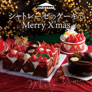 【シャトレーゼ】クリスマス アイスデコレーション パリパリチョコ バニラ＆チョコクッキー 17cm