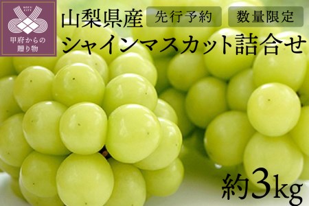 【先行予約】山梨県産シャインマスカット詰合せ3kg