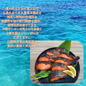 甲斐サーモン　西京漬け＆塩こうじ漬け