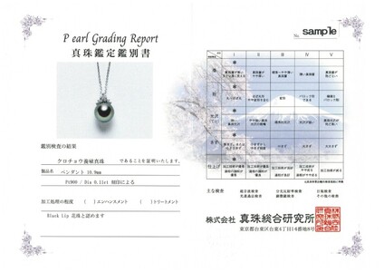 Pt900　黒蝶　真珠　ペンダント　ネックレス　67