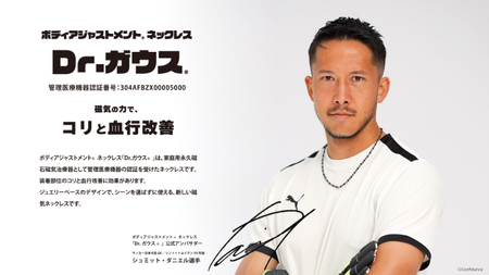 Dr.ガウス ハイグレード Lサイズ