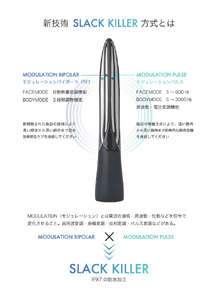 「造形美」美顔器 LINKS パイラナイト