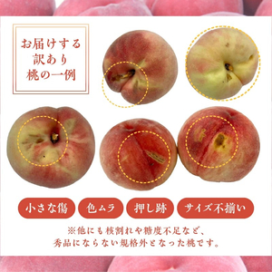 甲府市産　訳あり桃　約2kg（4～8玉）