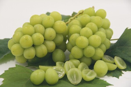 〈2026年度配送分〉甲府市産　シャインマスカット　約1.0kg（2～3房）