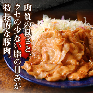 【ふるなび限定】クリスタルポーク生姜焼き2kg　FN-Limited-PR