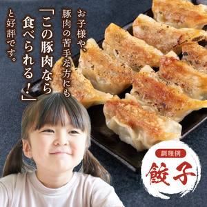 【2026年1月以降順次発送】クリスタルポーク挽き肉2kg