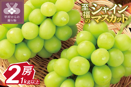 【新規格登場!!】〈2026年度配送分〉至福の山梨県産シャインマスカット 2房（1.0kg以上）シャインマスカット 山梨 県産 2026年度 先行予約 甲府 市産 ぶどう フルーツ 果物 2房 冷蔵 1.0kg以上 種なし 大粒 高級 甘い リピーター多数 【2026年8月中旬～9月下旬頃にかけて順次発送】
