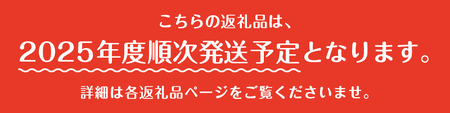 〈2025年度配送分〉【全房糖度測定済み】 山梨県産 特選シャインマスカット 3～5房（約2kg)