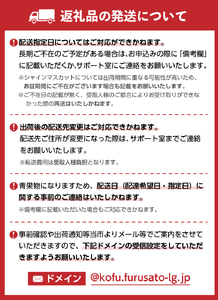 〈2025年度配送分〉【全房糖度測定済み】 山梨県産 特選シャインマスカット 3～5房（約2kg)