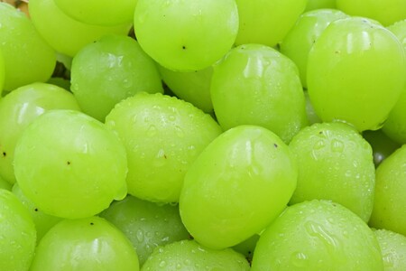 〈2026年度配送分〉シャインマスカット 家庭用(粒 1.0kg)〈KF-3〉