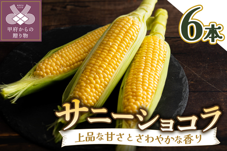〈2026年度配送分〉【ふるなび限定】とうもろこし〈サニーショコラ〉6本入（約2.4kg）FN-Limited-SP