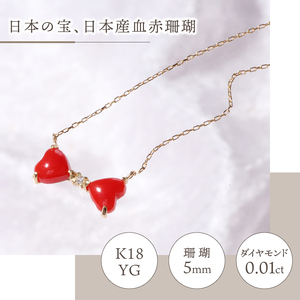 宝飾の町甲府から!!K18 日本産血赤珊瑚リボンネックレス【TK-9219】
