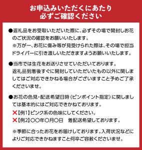 【6ヶ月定期便】小松弘典が手がける季節のフラワーアレンジメント　Ｍサイズ