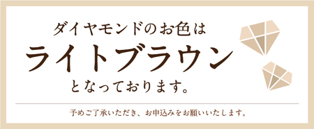 即納】プラチナ 0.20Ｘ0.20CT ダイヤ ピアス 403134 | 山梨県甲府市