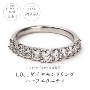 【ふるなび限定】全てＶＳダイヤを使用した1.0ＣＴハーフエタリング　R2579DI-P2　FN-Limited-SP