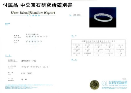 Deliciae 天然ピンクダイヤモンド 爪留め ハーフエタニティリング 【0.3ct】 K18WG 【中央宝研鑑別書付】HER-03-TUME-WG