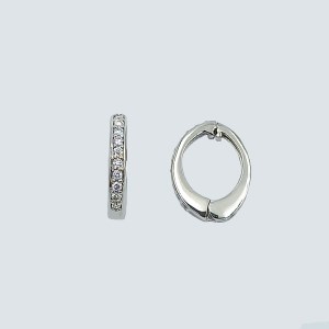 Pt  ダイヤモンド イヤリング/イヤーカフ　AE177PT　