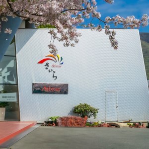 K18 パープルサファイア ペンダント（藤波）