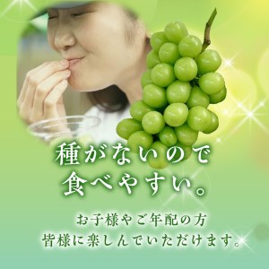 2024年度配送分〉【山梨県甲府市産】Inakakara「特秀品シャイン