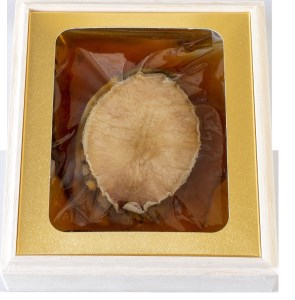 あわび磯煮　（KR-30）