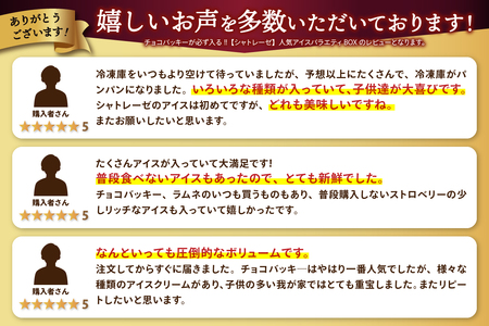 〈2024年6月配送〉チョコバッキーが必ず入る!!【シャトレーゼ】人気アイスバラエティBOX