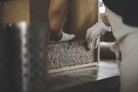 TWELVE　BLACK　PENCILS ～12本の極上黒えんぴつ～