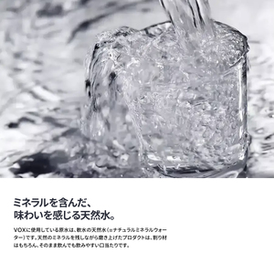 【3か月定期便】VOX バナジウム 強炭酸水 500ml 24本(ミントフレーバー) ストック 保存 備蓄 防災 防災グッズ 山梨 富士吉田