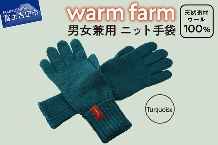 手袋 光吸収発熱ウール 「 ウォームファーム　ニット手袋 」 ターコイズ 暖かい ウール 発熱素材 レディース メンズ 秋 冬