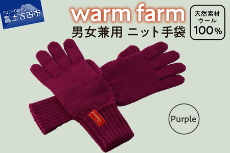 手袋 光吸収発熱ウール 「 ウォームファーム　ニット手袋 」 パープル 暖かい ウール 発熱素材 レディース メンズ 秋 冬