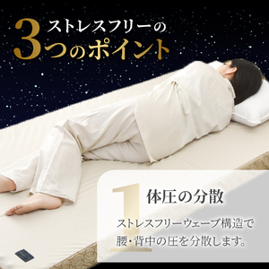 ふじやま織西川敷きふとん【しっかりたためる三つ折りタイプ】Dサイズ