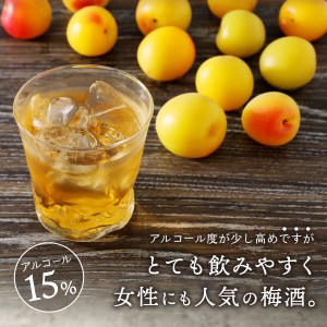 ウイスキー 富士山ウィスキー 梅酒 700ml 1本 モンドセレクション プレゼント