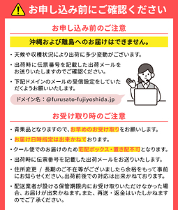 【2025年先行予約】旬のフルーツ もも 5～8玉(1.8kg以上)  桃 フルーツ 果物 ピーチ 旬 高級 新鮮 デザート 山梨県産 ギフト 山梨 富士吉田