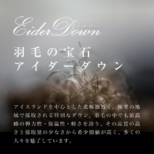 羽毛 肌掛け ふとん シングル 羽毛布団 寝具 布団